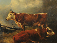 2 Kühe auf der Weide